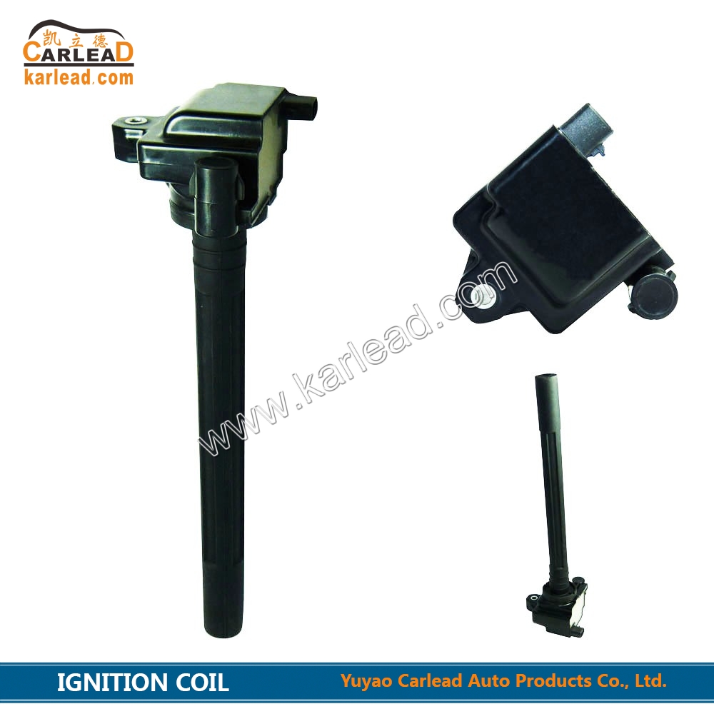 MOTOR a GASOLINA, DQG145F, Bobina de Ignição